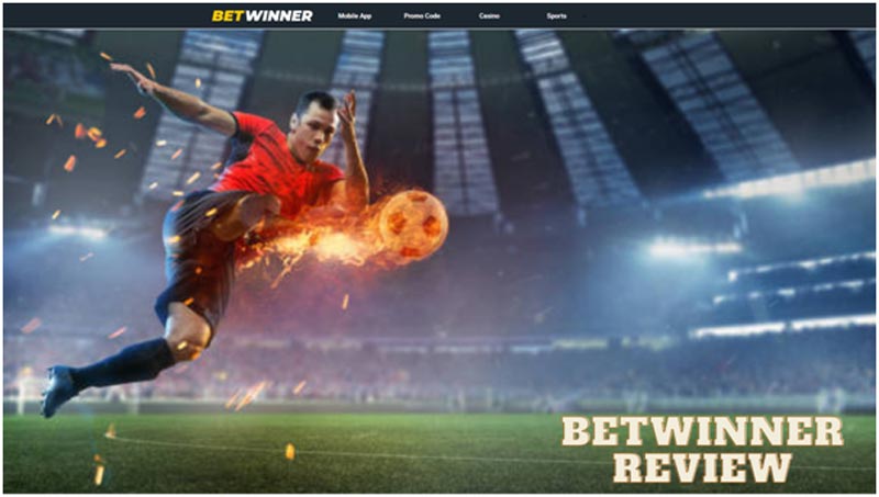 Betwinner on the Indian Betting Market