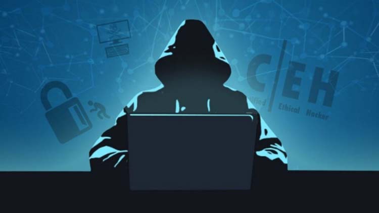 Mastering the Digital Realm by Exploring Free Hacking Courses and C Programming
