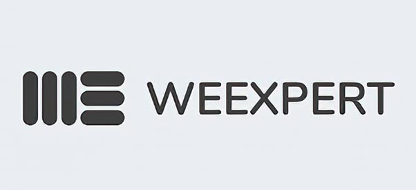 Weexpert Support Startups